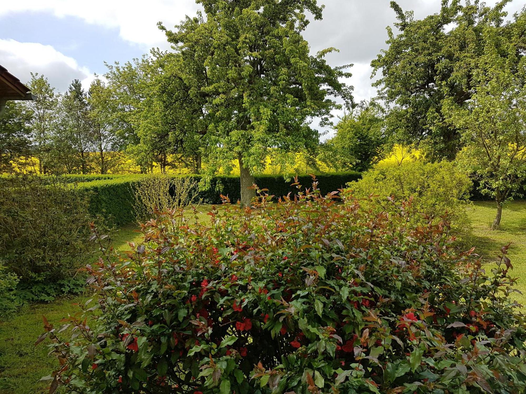 Ferienhaus Uckermark Casekow Exteriör bild